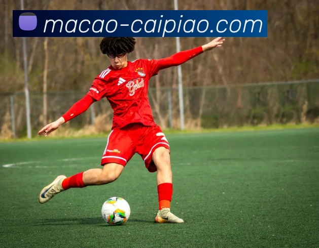 澳门彩平台生态图